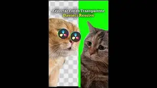 Como renderizar un video con fondo transparente en Davinci Resolve