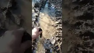 На опушке.