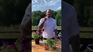 Бренд-шеф 