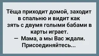 Теща Застала Зятя Сразу с Двумя! Сборник Свежих Анекдотов! Юмор!