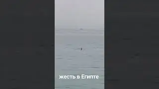 #Жесть