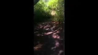 Wesley's Private Tour of the Fire Island's Meat Rack