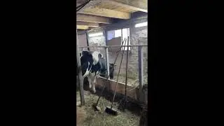 Устанавливаем видеонаблюдение