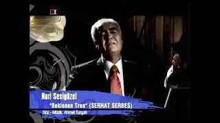 Nuri Sesigüzel   -    Beklenen Tren