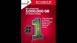 Dialog | #1 Network | We streamed 3 MILLION GB of videos today