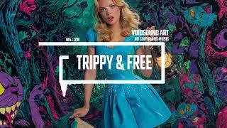 Psy Acid Voyage by VoidSound [No Copyright Music] – Trippy & Free