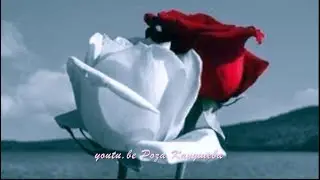 💖Узденов Альберт 