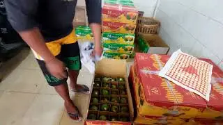 JERUK MEDAN ISTIMEWA BONGKAR DI #BUAHBARU
