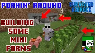 Pigs, Pranks, and Plans! | Buiding 3 Mini Farms | Surviving Bedrock