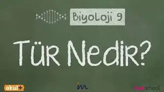 Tür Nedir