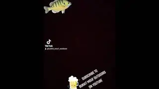 let's go fishing! 
