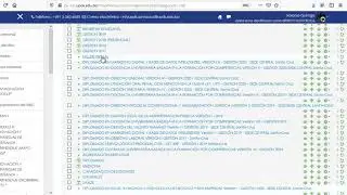 CREAR CATEGORIA SUPERIOR Y CURSOS MOODLE