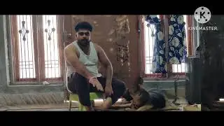 62 day female dog  bacche Na de to kya Karen