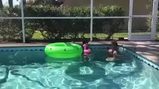 Pool float frenzy