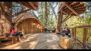 Microsoft Life - Treehouse Meeting Space (audio description version)
