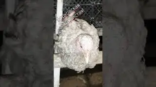 Есть проблемы, опухоль. 