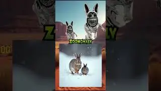 Real animals X Zoonomaly Part 1 