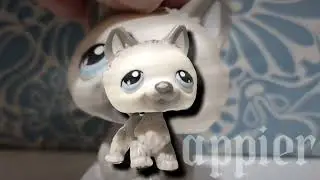 lps mep part 12 for lpt || SORRY I POSTED IT SO LATE ||