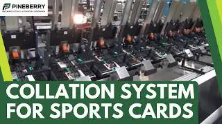 Collation System for Sports and Game Cards - Pineberry Manufacturing