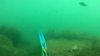 СИНГИЛЬ, НАЧАЛО.