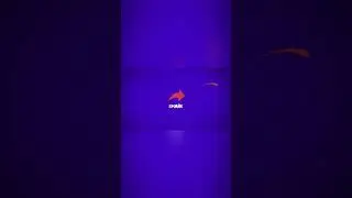 Gaming Demon Logo Animation Intro #shorts # #intro #logoanimation