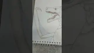 драконья Сага Альбатрос