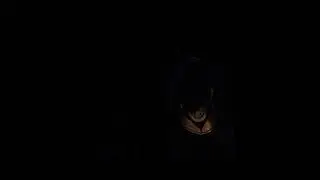 Ghost of Tsushima