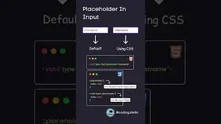 Placeholder in Input
