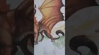What is a Liondrake 