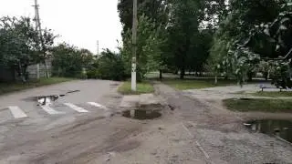 Упавшее дерево. Власовка