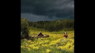 Мечтать о такой, как ты.3-04 Татьяна Веденская.