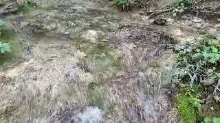 Sokobanja Moravica