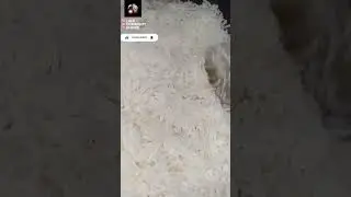 #caramel zardha😋 #khoe wala Zardha #newideaswithqirat #shortvideo #shadiyon wala zardhr