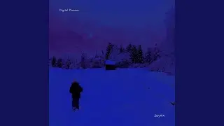 Digital Dreams