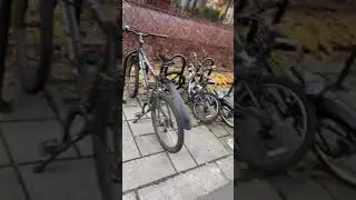معقول بالنرويج سرقة عجل!!
