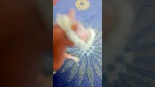 Пётр😭пояму