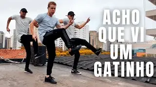EU ACHO QUE VI UM GATINHO - MC BN, MC Guto VGS e DJ KL do ABC I Coreógrafo Tiago Montalti