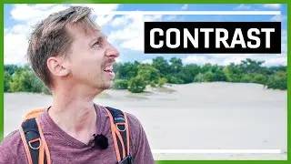 De KRACHT van CONTRAST in FOTOGRAFIE - Loonse en Drunense Duinen