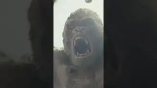 Обезьяна насаживает АЛЛИГАТОРА на кол !!! 