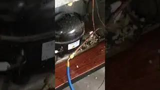 Refgrator reaparing #shortvideo  #shortsviral