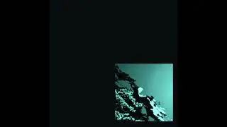 novideo - ensordece