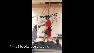 Delyle Polet: Low Rider: running in reduced gravity