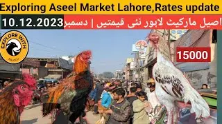 Aseel Market Badami Bagh Lahore | Rates update| Lahore murgha mandi