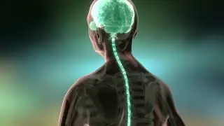 Mechanism of Disease: MS