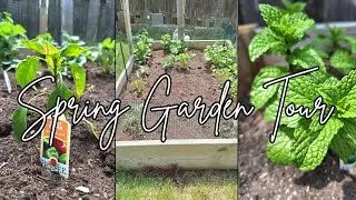 🌿May Garden Tour | Plating Herbs | Home Depot Nursery