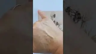 Как сделать паспарту 