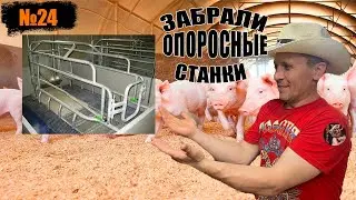 №24 ПРИОБРЕЛИ СТАНКИ ДЛЯ ОПОРОСА!!!ЗАКУПИЛИСЬ КОРМАМИ/ЕДЕМ В ГОРОД КРАСНОЯРСК!!!