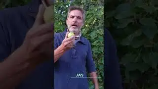 La abundancia del MANZANO silvestre