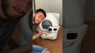 Recebi uma Caixinha de areia AUTOMATICA! 😍🐈