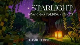 The Secret hideout in the Mangrove 🌙 Night Ambience • Minecraft ASMR
